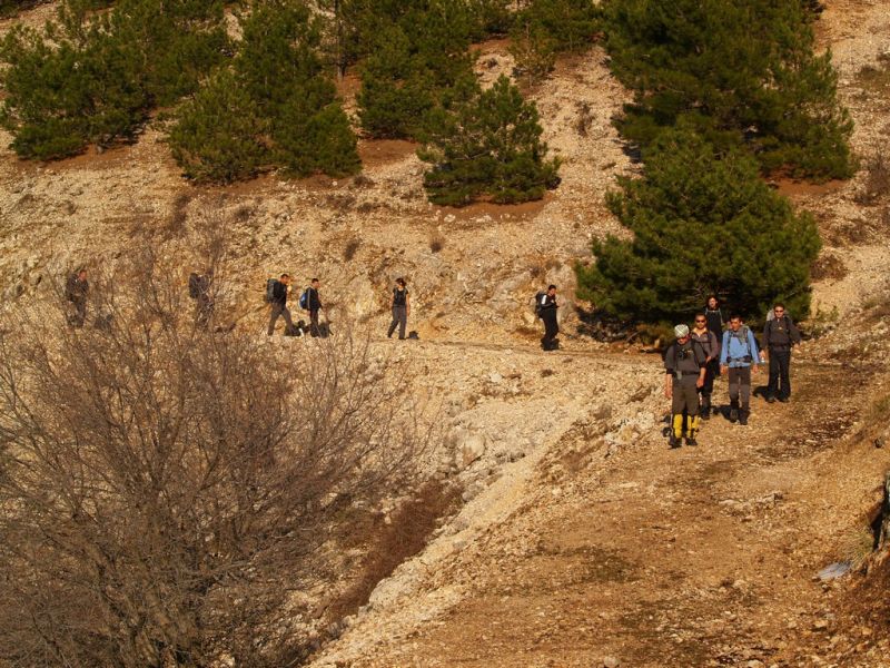 P2064352.jpg