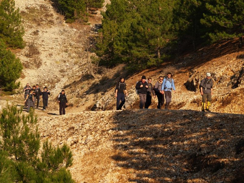 P2064353.jpg