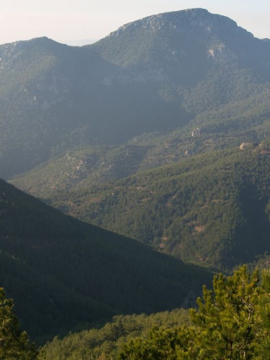 P2064355.jpg