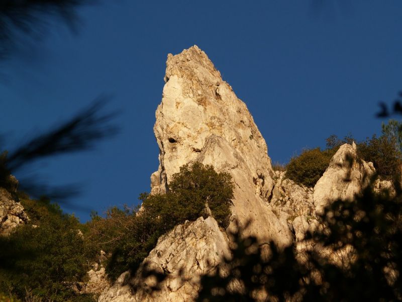 P2064359.jpg