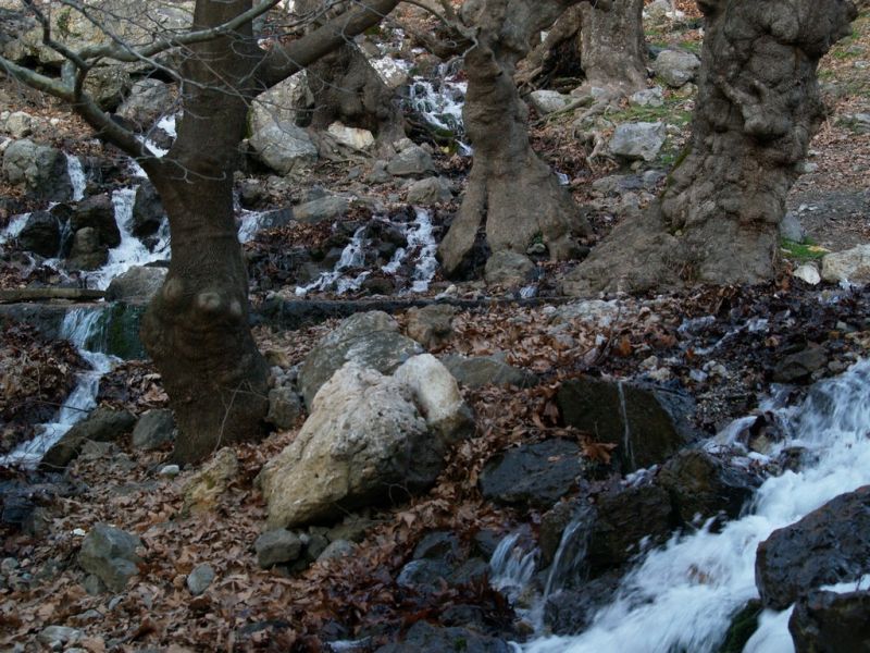 P2064370.jpg
