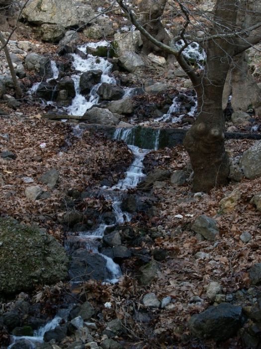 P2064371.jpg
