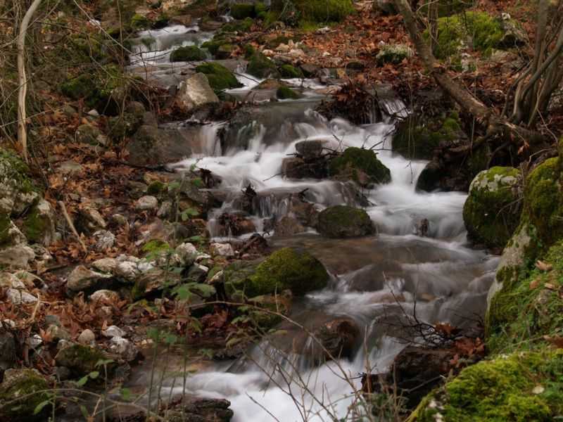 P2064411.jpg