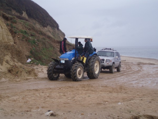 P2080037 (600 x 450).jpg