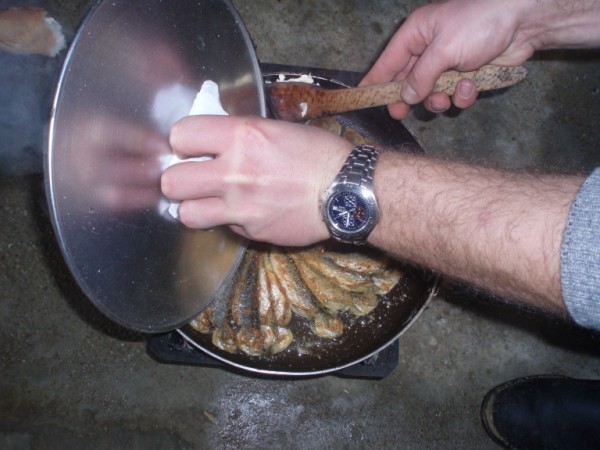 P2080086 (600 x 450).jpg