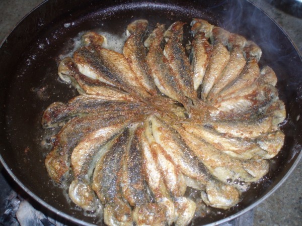 P2080087 (600 x 450).jpg