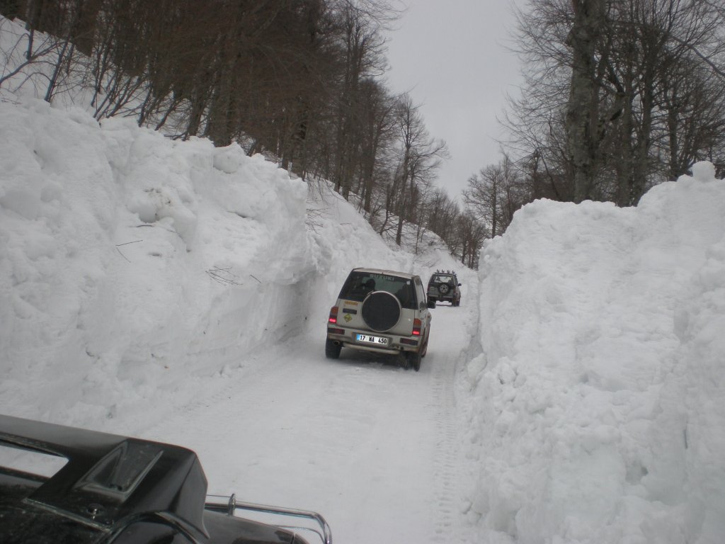 P2080107.JPG