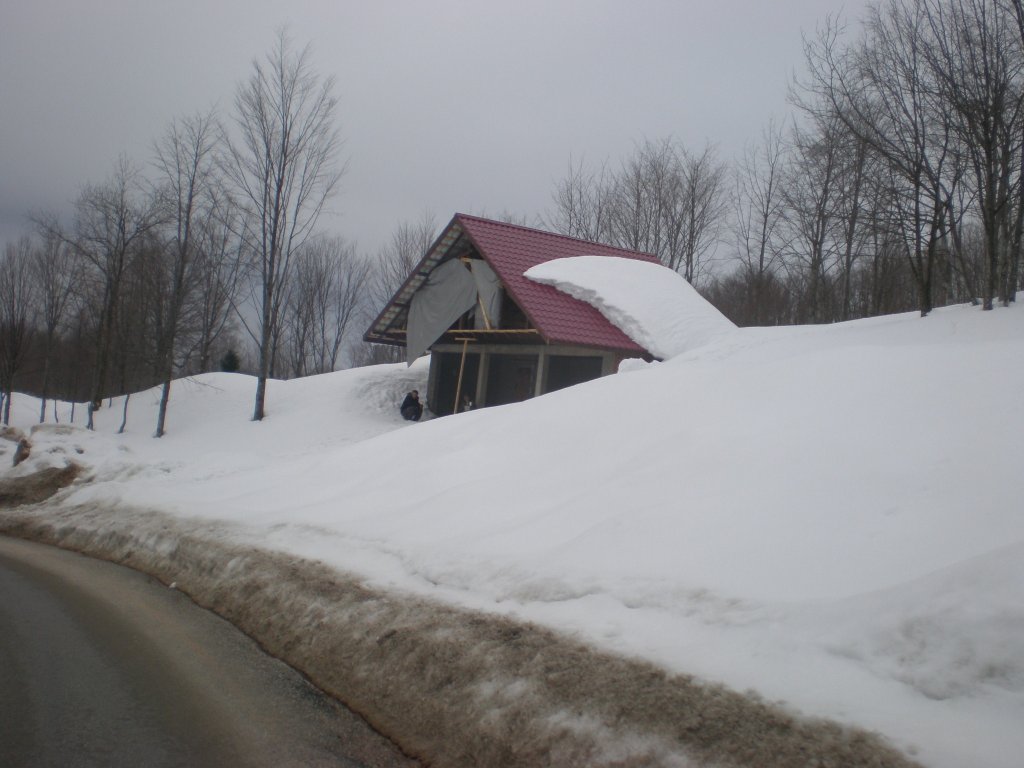 P2080206.JPG