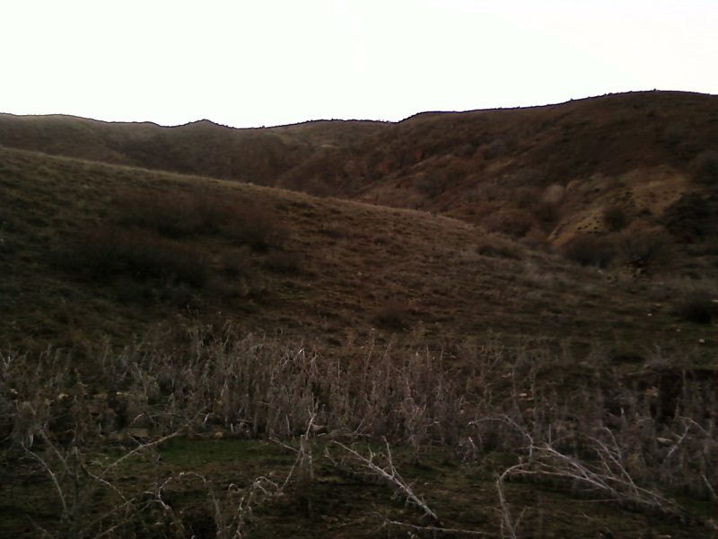 P21-02-10_16.08.jpg
