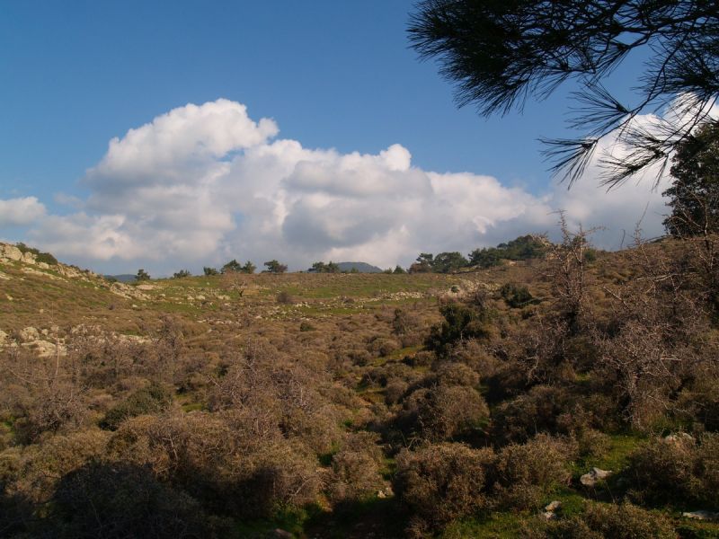 P2134490.jpg