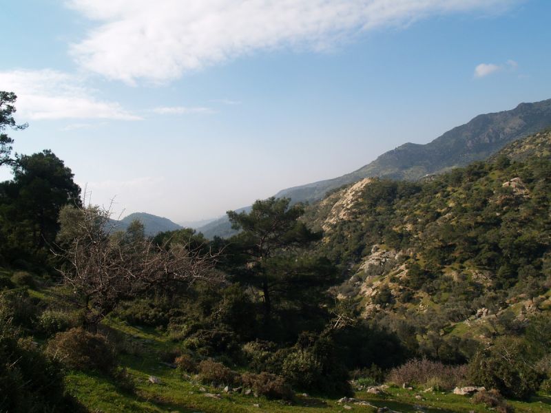 P2134540.jpg