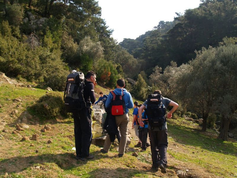 P2134550.jpg