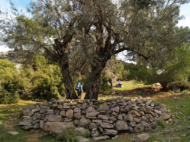 P2134554.jpg