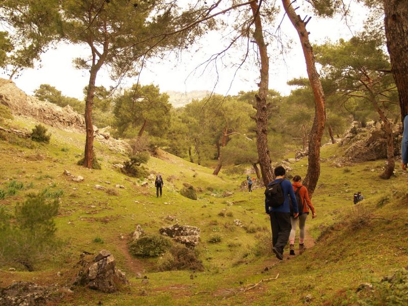 P2134598.jpg