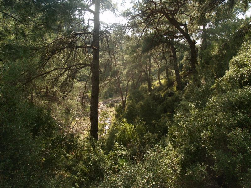 P2134669.jpg