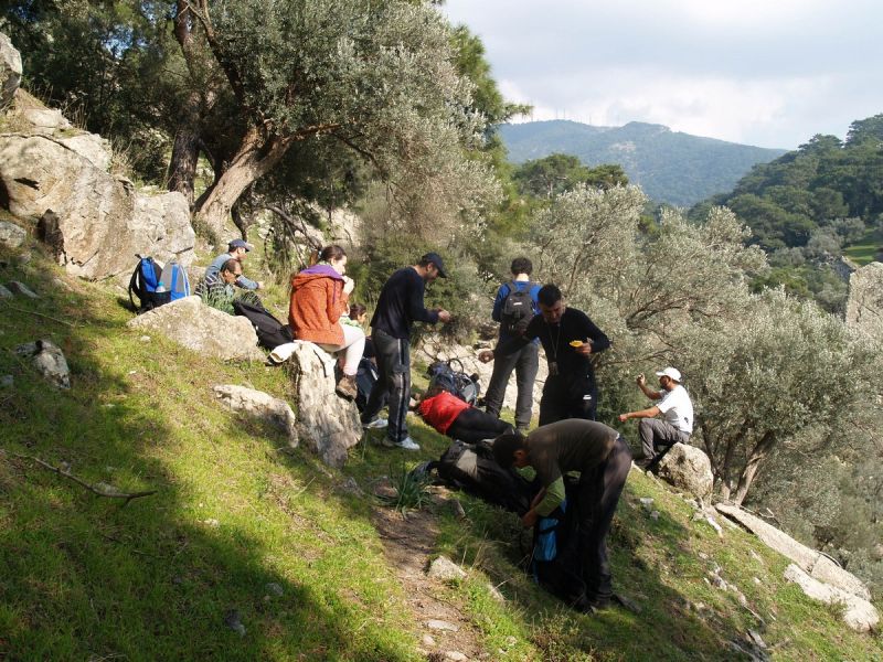 P2134743.jpg