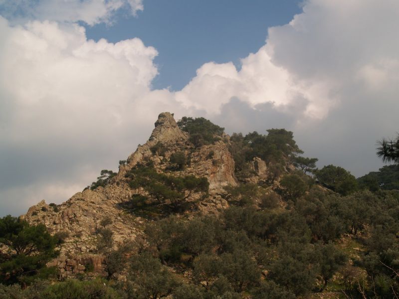 P2134766.jpg