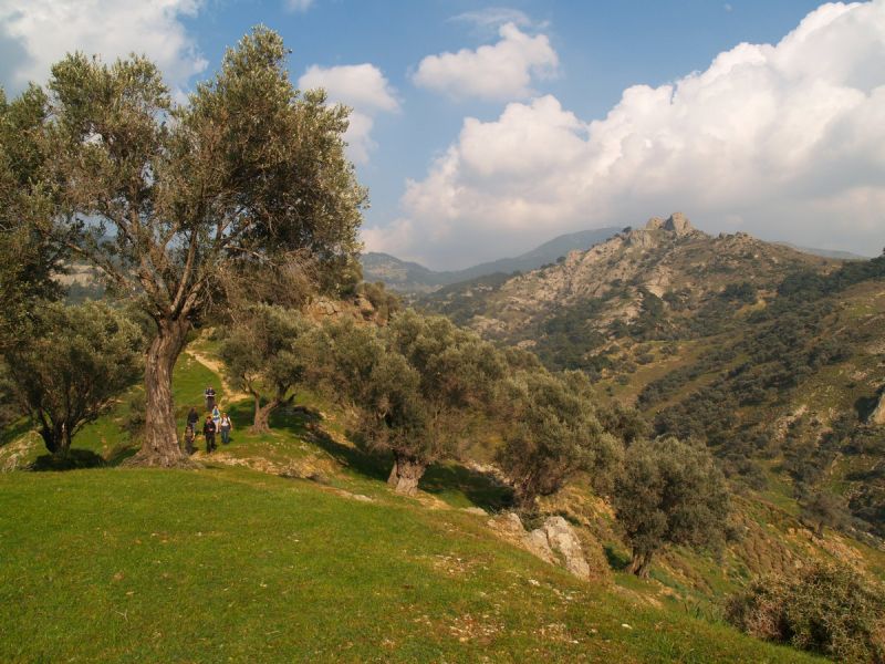 P2134785.jpg