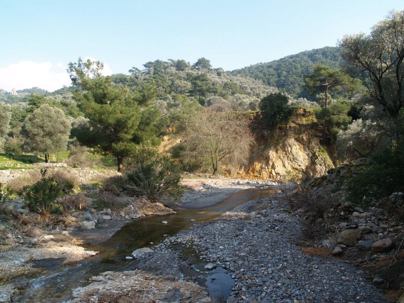 P2134813.jpg