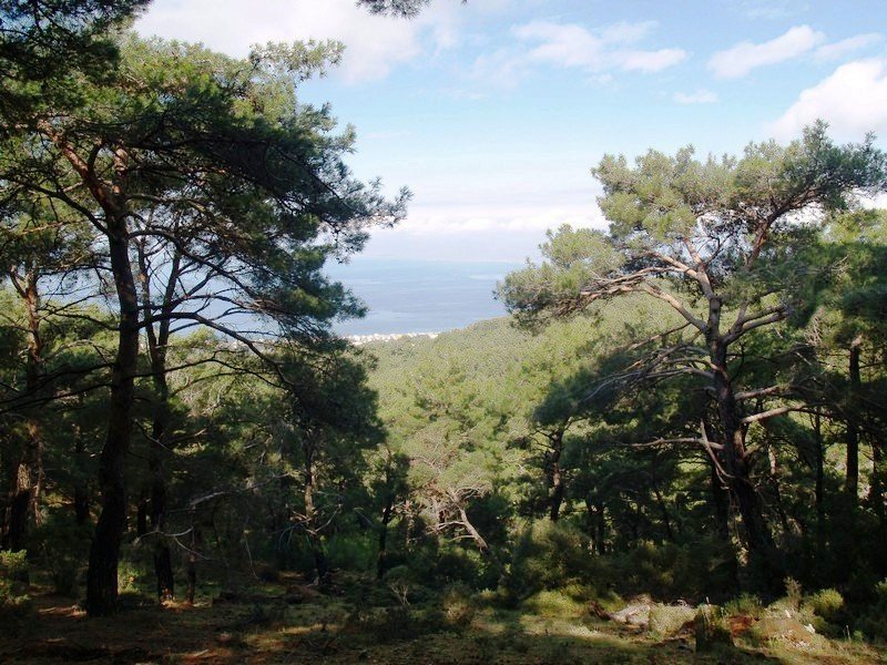 P2159874.jpg