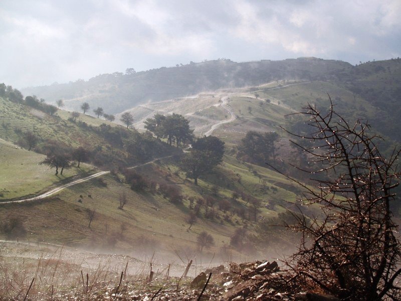 P2159915.jpg