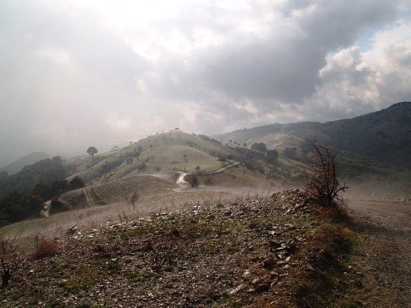 P2159916.jpg