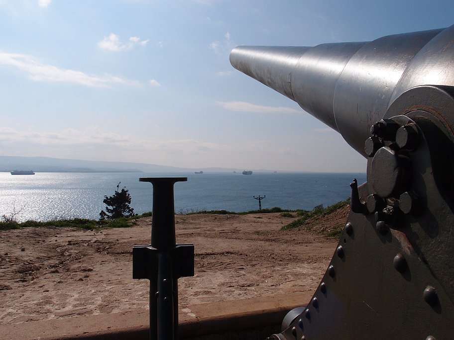 P2167853.jpg