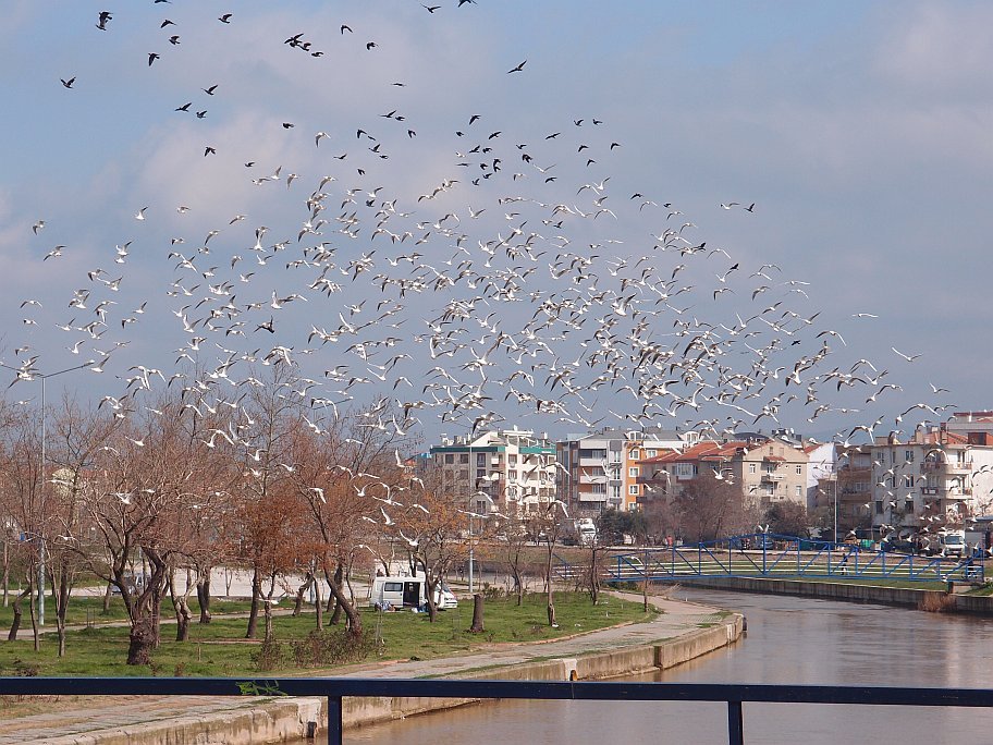 P2167932.jpg