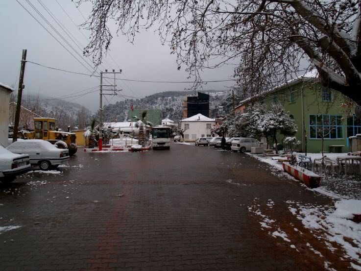 P2175791.jpg