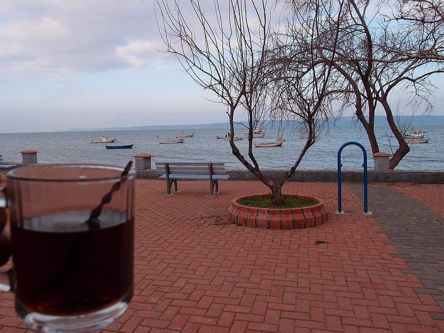 P2188088.jpg