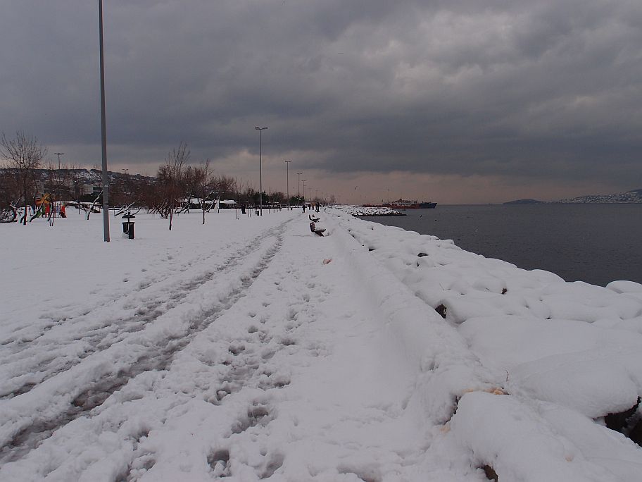 P2190531.jpg