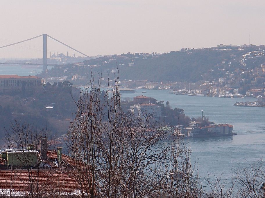 P2220645.jpg