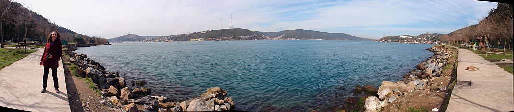 P2220679_stitch.jpg