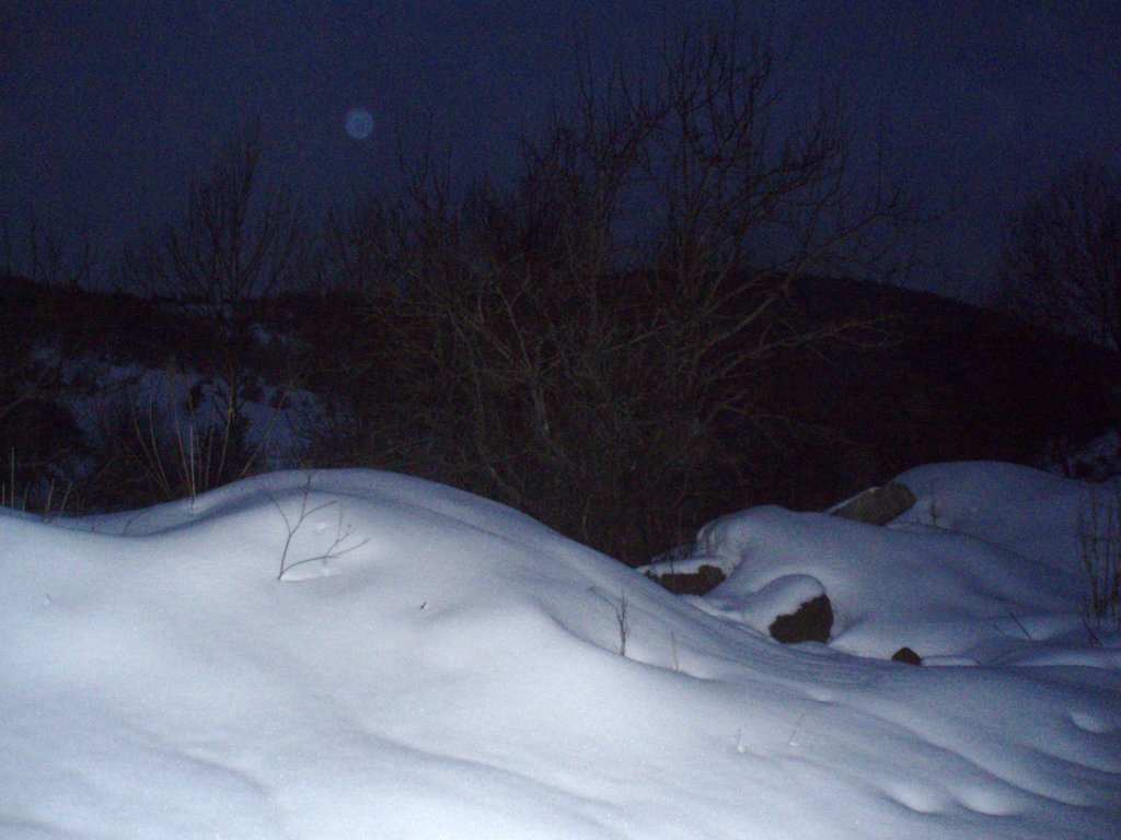P2230006.JPG