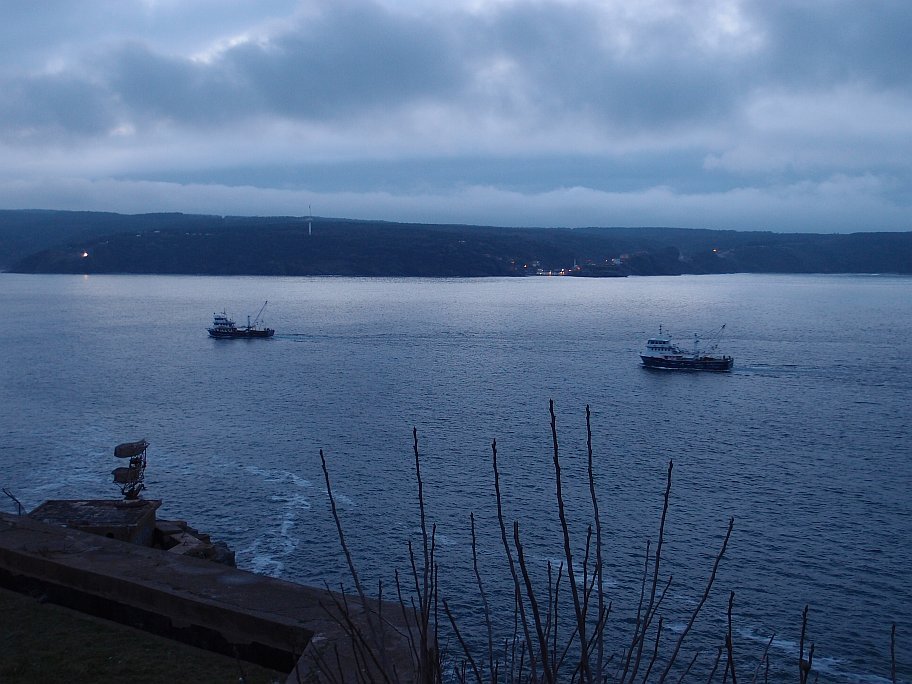 P2238213.jpg