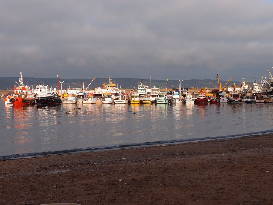 P2248219.jpg