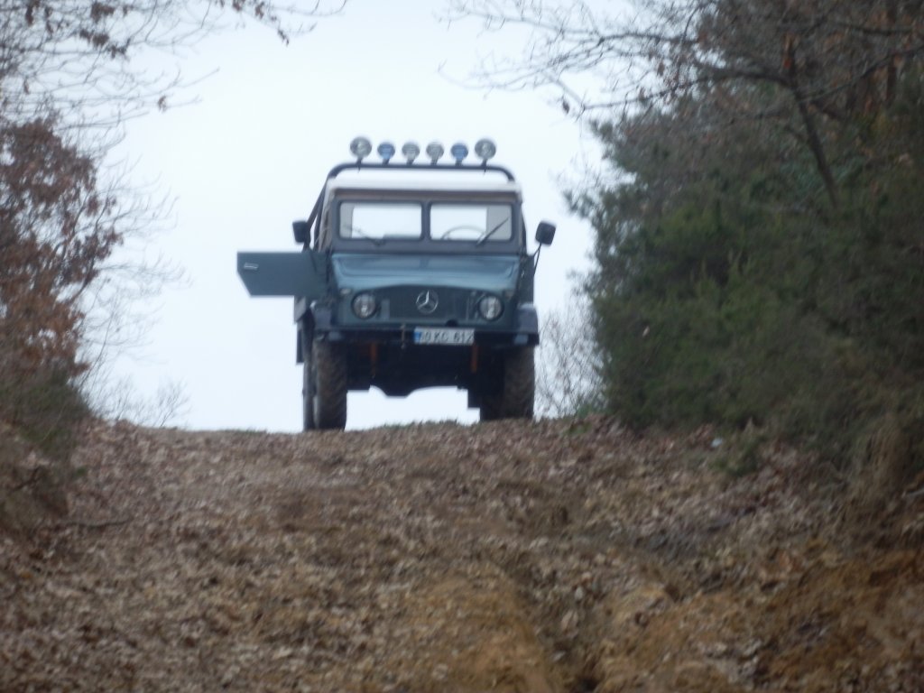 P2260021.jpg