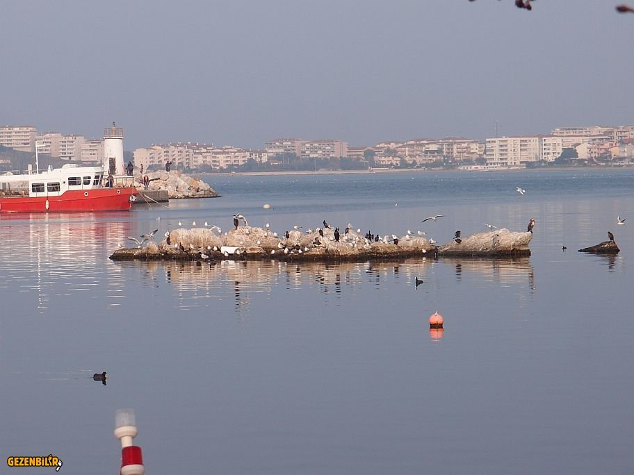 P2282518.jpg