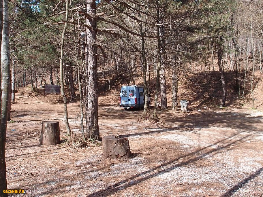 P2292536.jpg