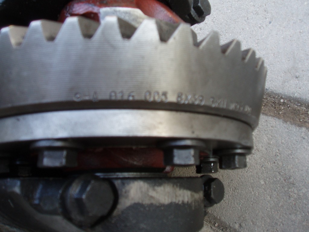 P3043934.JPG