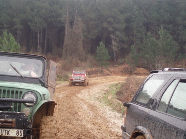 P3080070 (600 x 450).jpg