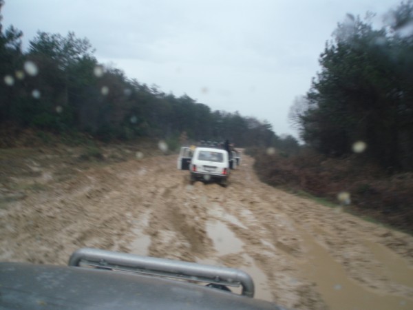 P3080073 (600 x 450).jpg