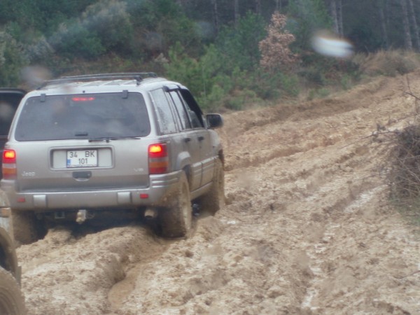 P3080078 (600 x 450).jpg