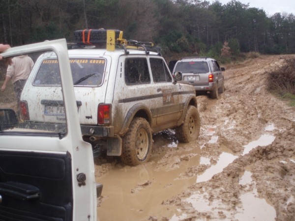 P3080079 (600 x 450).jpg