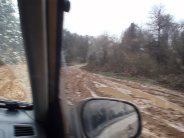 P3080105 (600 x 450).jpg