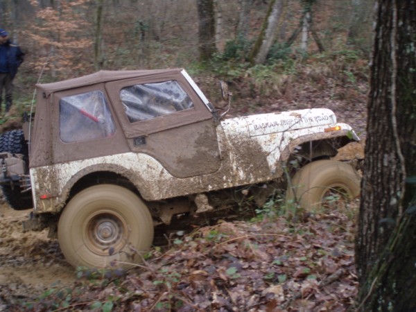 P3080131 (600 x 450).jpg