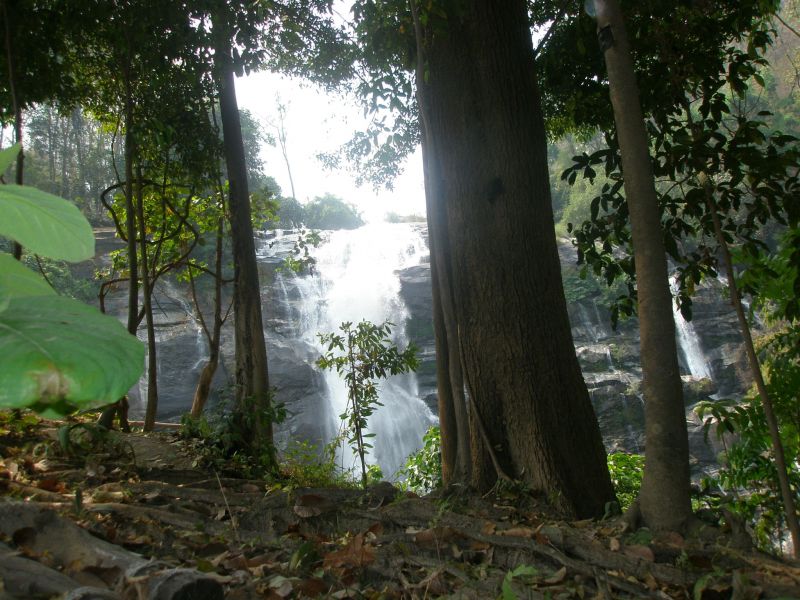 P3100135.jpg