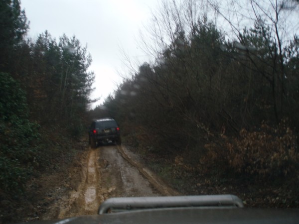 P3150006 (600 x 450).jpg