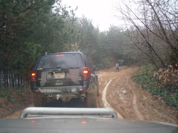 P3150008 (600 x 450).jpg
