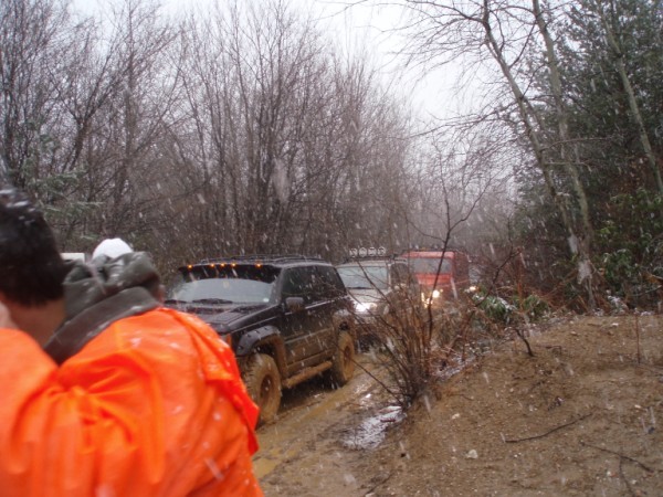 P3150015 (600 x 450).jpg